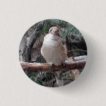 Bouton Kookaburra