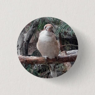 Badge Rond 2,50 Cm Bouton Kookaburra
