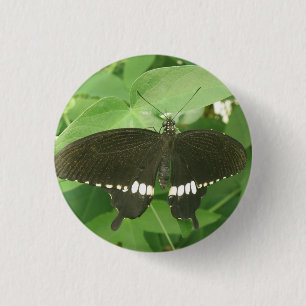 Badge Rond 2,50 Cm Bouton papillon mormon commun