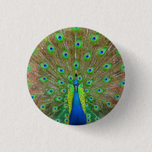 Badge Rond 2,50 Cm Bouton Peacock Bleu #3