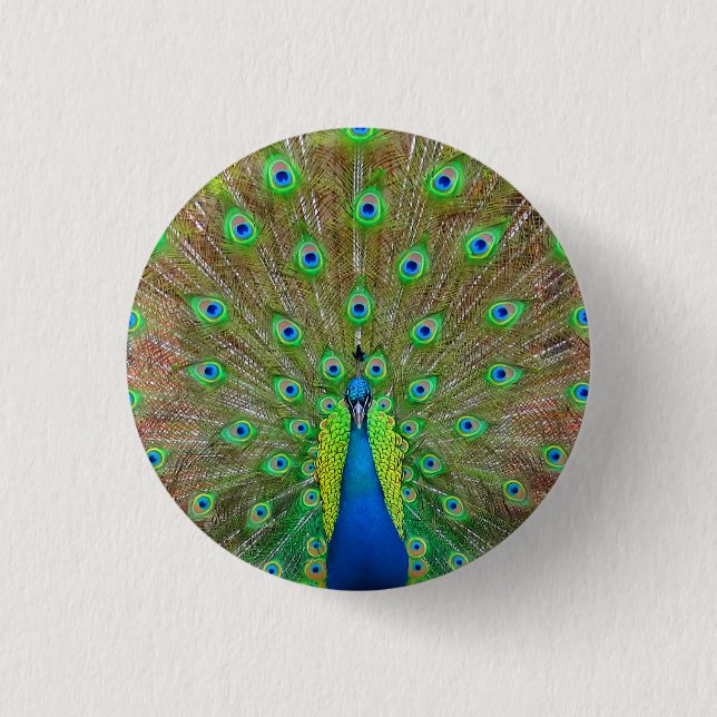 Badge Rond 2,50 Cm Bouton Peacock Bleu #3 (Devant)