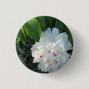 Badge Rond 2,50 Cm Bouton Peony précieux