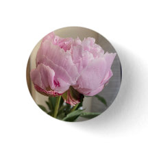Bouton Peony rose