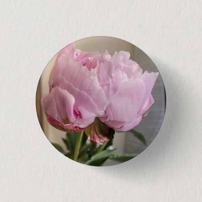 Badge Rond 2,50 Cm Bouton Peony rose (Devant)
