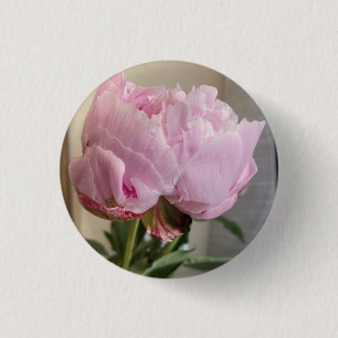 Badge Rond 2,50 Cm Bouton Peony rose