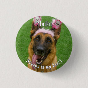 Badge Rond 2,50 Cm Bouton Pet Photo Memorial