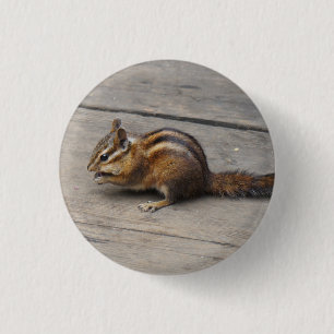 Badge Rond 2,50 Cm Bouton Pinback Chipmunk