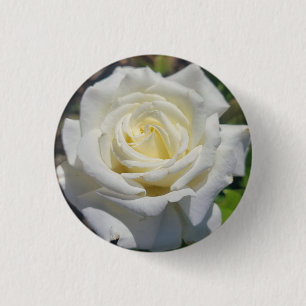 Badge Rond 2,50 Cm Bouton Rose blanche