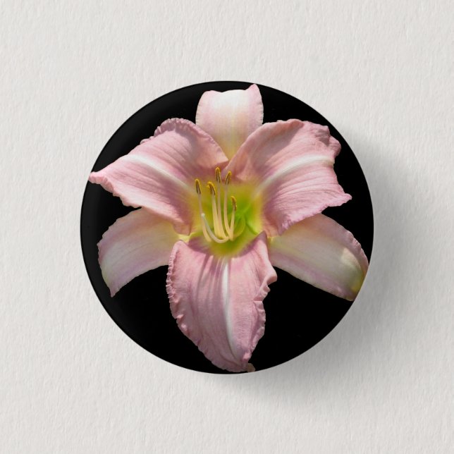 Badge Rond 2,50 Cm Bouton rose de lis (Devant)