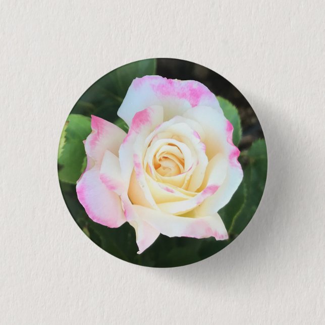 Badge Rond 2,50 Cm Bouton rose et jaune rose (Devant)