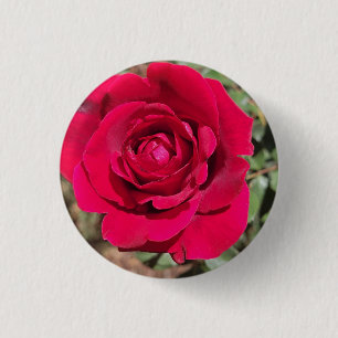 Badge Rond 2,50 Cm Bouton Rose rouge