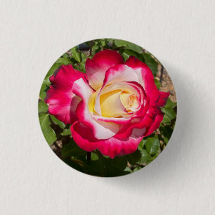 Badge Rond 2,50 Cm Bouton rose rouge et jaune