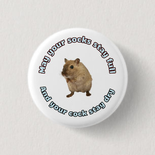 Badge Rond 2,50 Cm Bouton sec