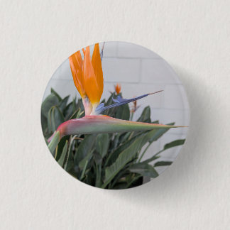 Badge Rond 2,50 Cm Bouton--Série Florale Oiseau de Paradis Bouton
