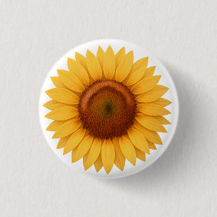 Badge Rond 2,50 Cm Bouton - Tournesol