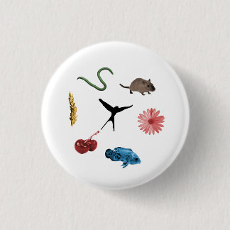 Badge Rond 2,50 Cm Bouton Tous les jetons d'alimentation Wingspan