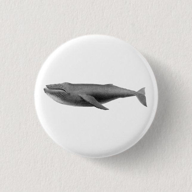 BADGE ROND 2,50 CM BOUTON VIE MARINE BALEINE (Devant)