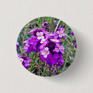 Badge Rond 2,50 Cm Bouton Wallflower Bowles Mauve #1