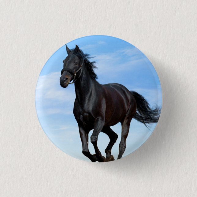 Badge Rond 2,50 Cm Boutons arrondis de cheval en pointe (Devant)