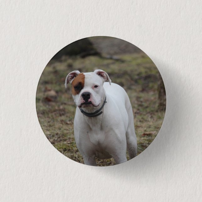 Badge Rond 2,50 Cm Boxer (Devant)