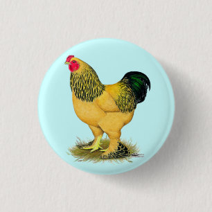 Badge Rond 2,50 Cm Brahma :  Coq Buff