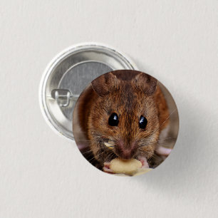 Badge Rond 2,50 Cm Brown Souris Manger l'arachide Gros plan