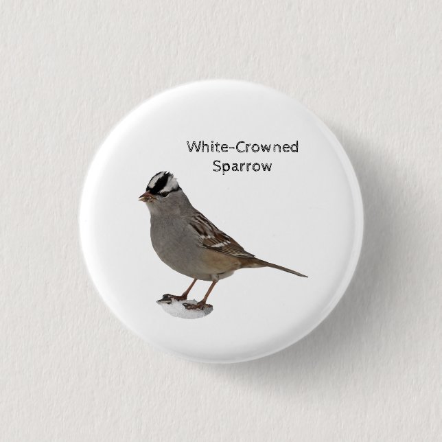 Badge Rond 2,50 Cm Bruant à tête blanche (Devant)