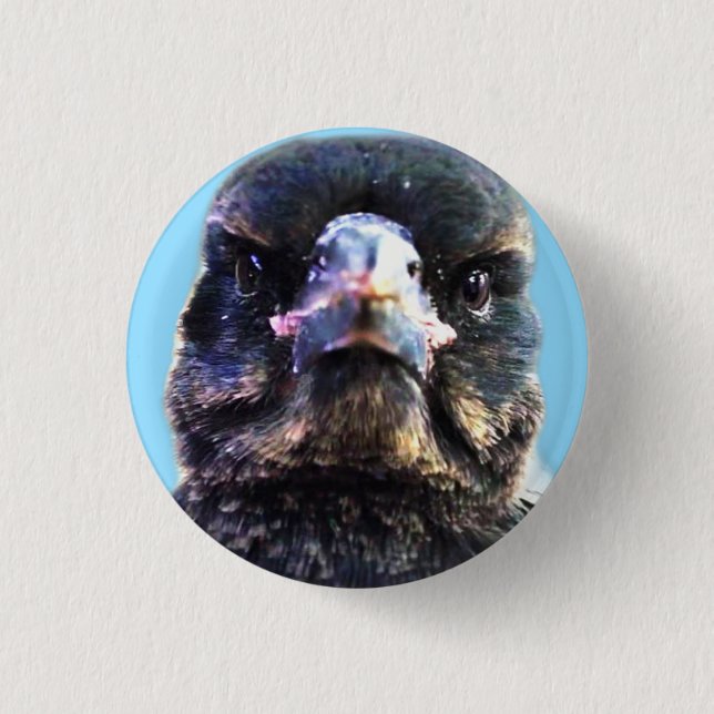 Badge Rond 2,50 Cm Bub Australian Secouru Magpie (Devant)