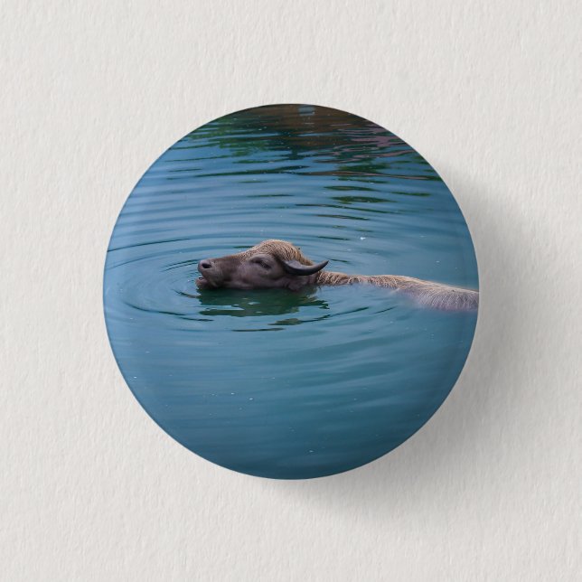 Badge Rond 2,50 Cm Buffalo d'eau de natation (Devant)