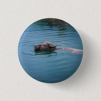 Badge Rond 2,50 Cm Buffalo d'eau de natation