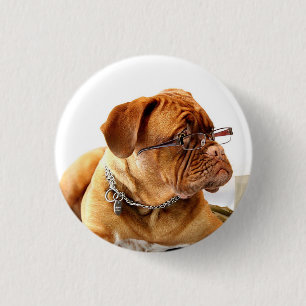 Badge Rond 2,50 Cm Bulldog avec lunettes - Bouton