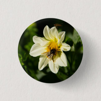 Badge Rond 2,50 Cm Bumblebee et dahlia blanc photo
