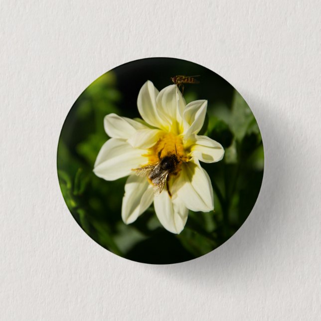 Badge Rond 2,50 Cm Bumblebee et dahlia blanc photo (Devant)