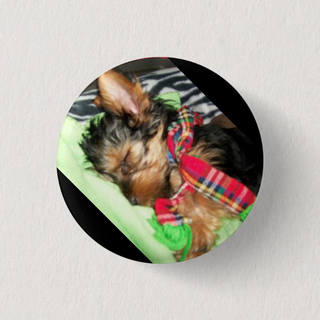 Badge Rond 2,50 Cm Câlin de Yorkie (Devant)