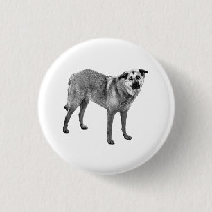 Badge Rond 2,50 Cm calme éclat de neige, mélange tibétain