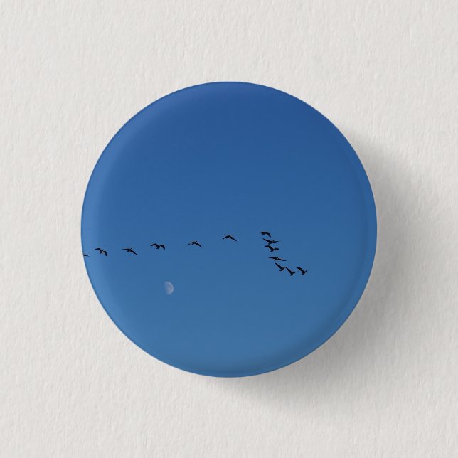 Badge Rond 2,50 Cm Canadian geese (Devant)