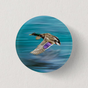 Badge Rond 2,50 Cm Canard colvert volant