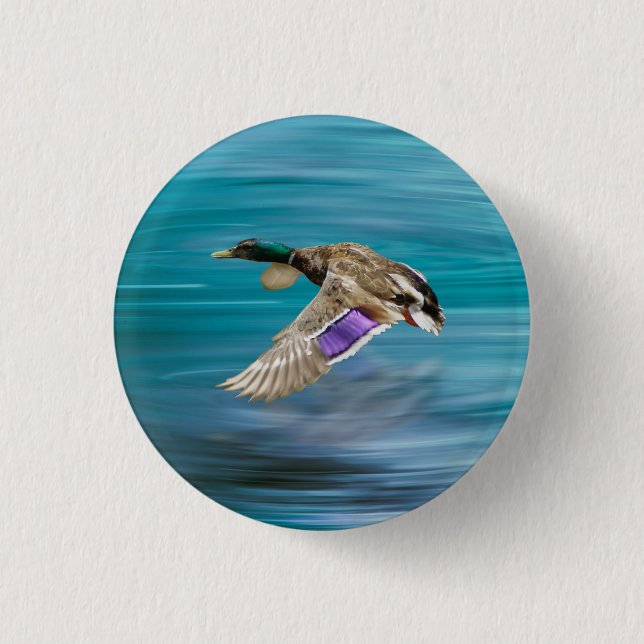 Badge Rond 2,50 Cm Canard de Majard volant (Devant)