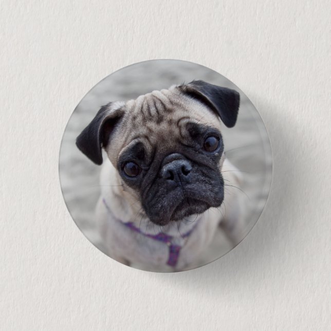 Badge Rond 2,50 Cm Carlin (Devant)