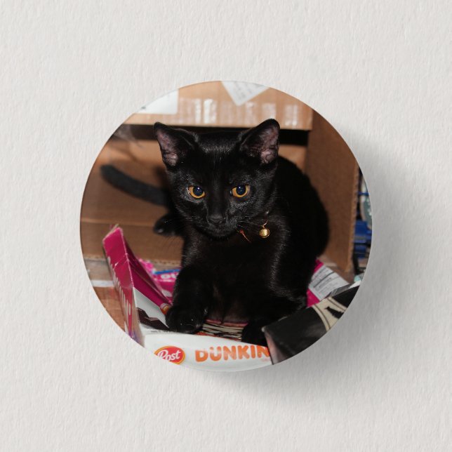 Badge Rond 2,50 Cm Cat (Devant)