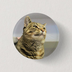 Badge Rond 2,50 Cm Cat