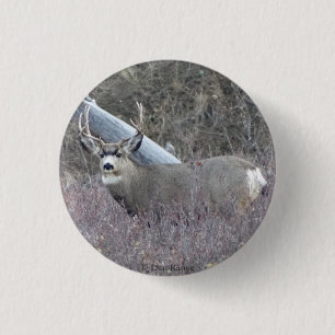 Badge Rond 2,50 Cm Cerf mulet mâle D32