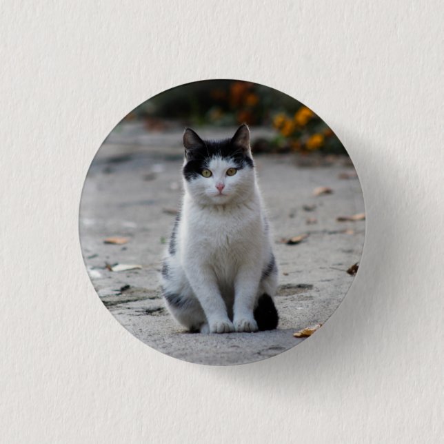 Badge Rond 2,50 Cm Chat, Blanc, Animaux (Devant)