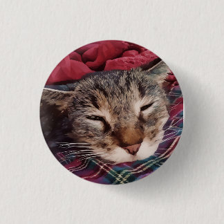 Badge Rond 2,50 Cm Chat de Noël dormant tabby carreaux flanelle rouge