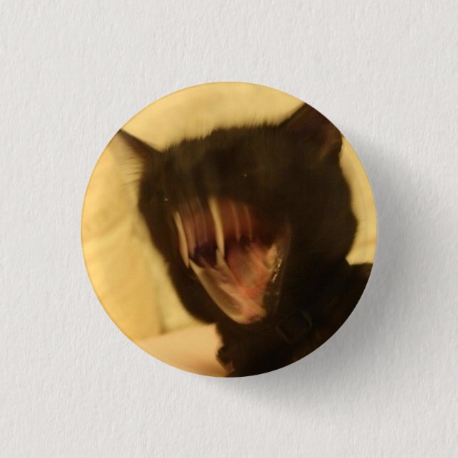Badge Rond 2,50 Cm chat fâché (Devant)