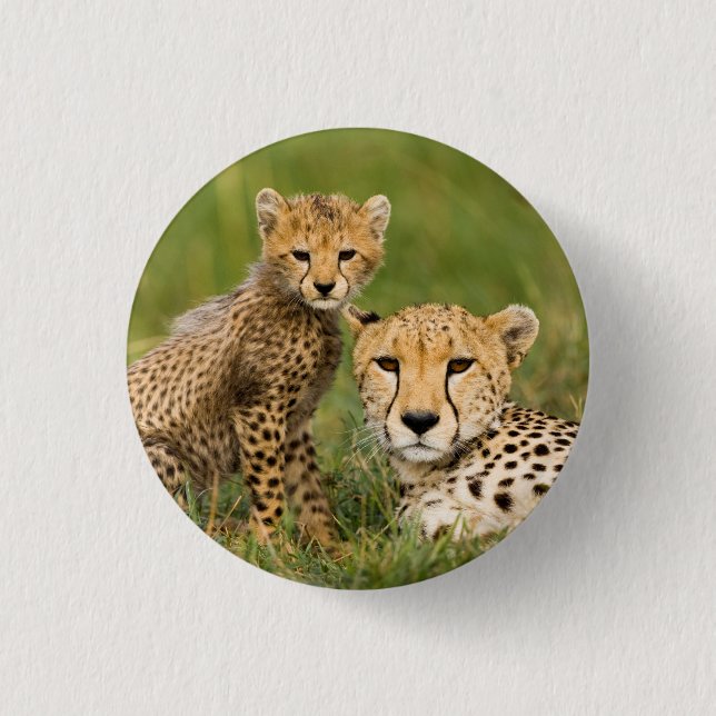 Badge Rond 2,50 Cm Cheetah Cub and Parent (Devant)