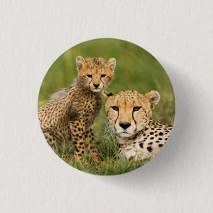 Badge Rond 2,50 Cm Cheetah Cub and Parent
