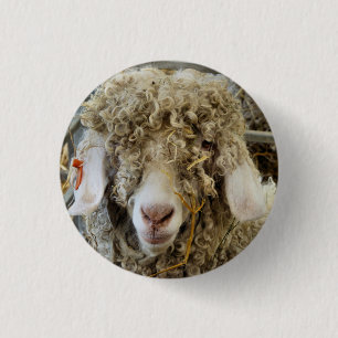BADGE ROND 2,50 CM CHÈQUE CUTE