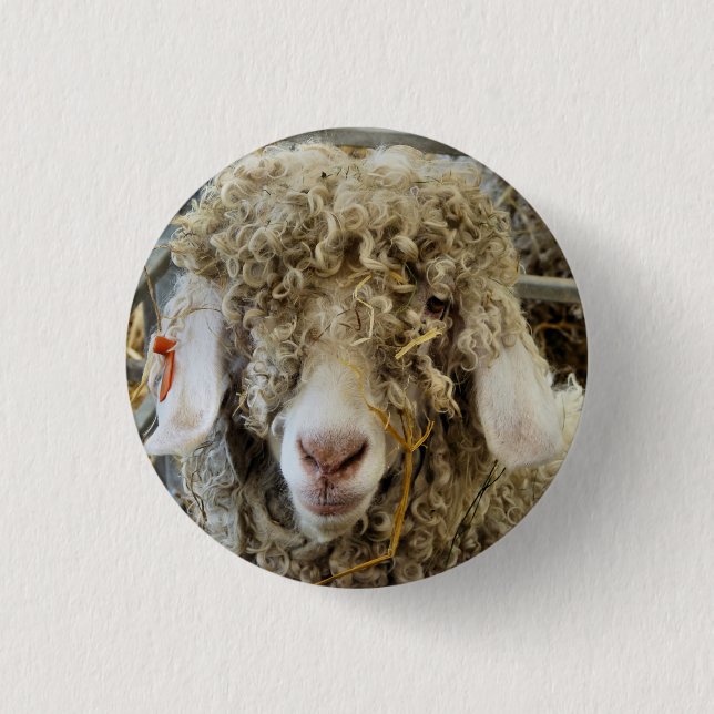 BADGE ROND 2,50 CM CHÈQUE CUTE (Devant)
