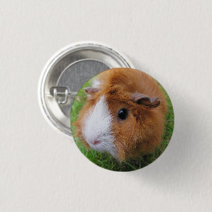 Badge Rond 2,50 Cm Cheveux longs, orange et blanc, visage de cochon d